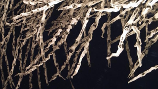 Illustration for article titled This feather is actually made up of thousands of naked human bodies